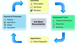 Bioavailability of heavy metals in soil: a review of tools, models, and regulatory applications (Source: Willie J.G.M. Peijnenburg)