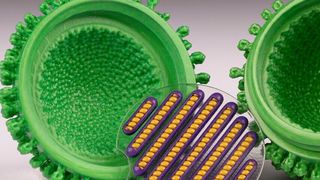 An influenza virus model created in the opened position on the Mimaki 3DUJ-553 3D printe. The clear disk that contains the eight purple capsids and the eight yellow RNA strands has been removed from the green envelope.  (Carolyn Thome/SIE)