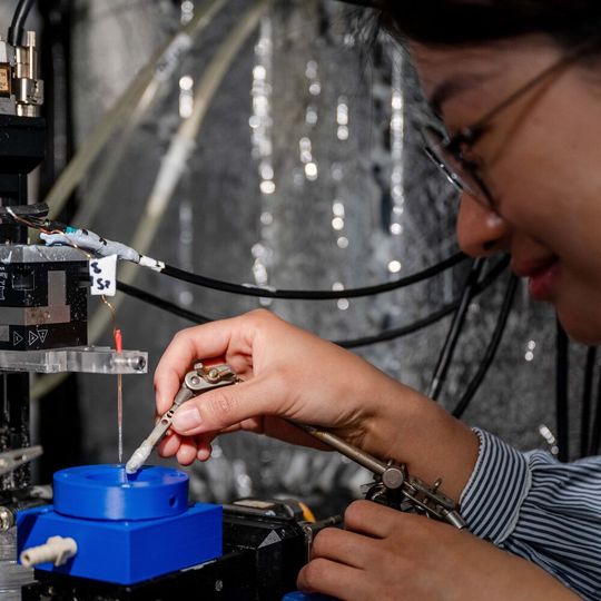 „Die Produktion von Wasserstoff und Wasserstoffperoxid ist extrem wichtig“, sagt Erstautorin Lejing Li.(Bild:  RUB, Marquard)