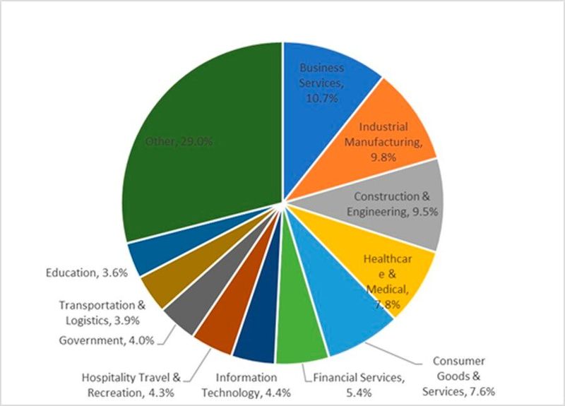 Verteilung nach einzelnen Branchen (Bild: Check Point Software Technologies Ltd.)