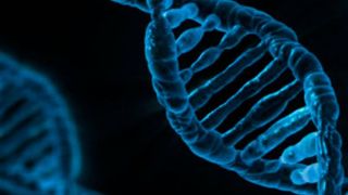 Der Standortausbau wird die GMP-konforme Produktion im Kilo-Maßstab von Plasmid-DNA und rekombinantem Protein für klinische Testphasen und die spätere Vermarktung ermöglichen. (gemeinfrei)