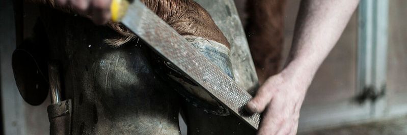 Es gibt Lebensbereiche, da ist Handwerk unersetzlich; die IT gehört nicht dazu. (Bild:  Free-Photos auf Pixabay)