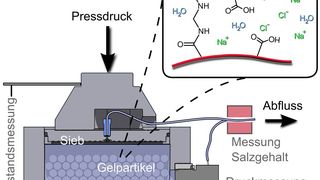 Aufbau zum Entsalzen von Meerwasser mithilfe von Druck (Bild: Johannes Höpfner, KIT)