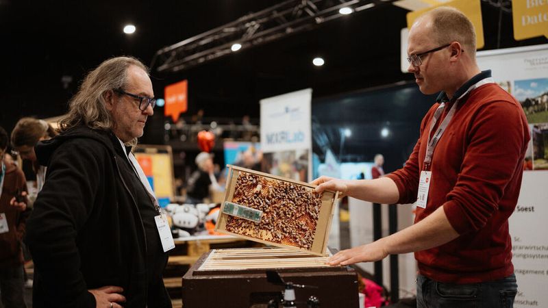 Mithilfe entsprechender Sensorik kann auch ein Bienenstock zur smarten Messstation werden.(Bild:  © Stadt Mönchengladbach)