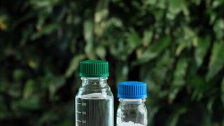 Neste’s renewable hydrocarbons and polymers. (Neste)