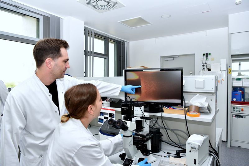 PD Dr. Felix Kleefeld mit Dr. Nassam Daya zeigen eine mikroskopische Vergrößerung eines Muskelorganoids.  (Bild: Bergmannsheil)