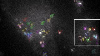 Abb. 1a Tracking-Ergebnis für Viruspartikel: Mikroskopiebild von zeitaufgelösten Daten überlagert mit automatisch ermittelten Trajektorien von HIV-1 Partikeln (in verschiedenen Farben). Die Kästchen geben die gefunden Positionen zum aktuellen Zeitpunkt an. (weißer Rahmen: Ausschnitt der Vergößerung ...) (Bild: Uni Heidelberg)
