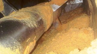 Das Eigelbpulver wird mit einer Restfeuchte von weniger als zehn Prozent ausgetragen. (Bild: AVA)