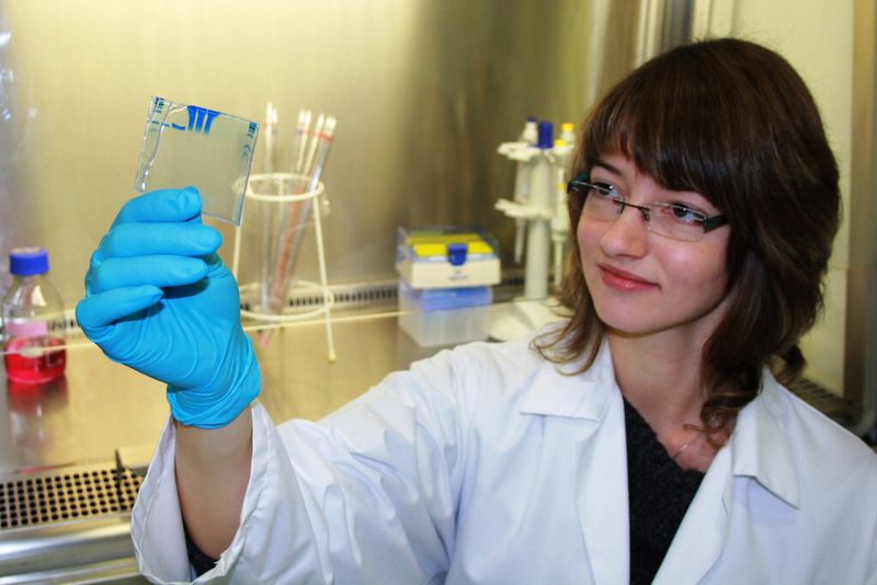 Die Gele aus Polyacrylamid mit Natriumdodecylsulfat (SDS) werden verwendet, um Proteine und Peptide mittels Elektrophorese, also Anlegen einer Spannung, der Größe nach aufzutrennen. (Bild: TITK)