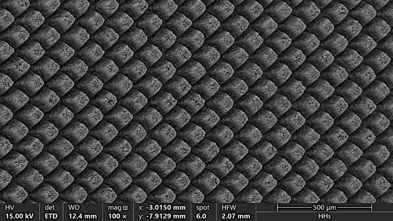 REM-Aufnahme einer mittels Ultrakurzpulslaser erzeugten Mikrostruktur auf der Oberfläche eines Festelektrolyten. Die Struktur erhöht die effektive Kontaktfläche, verbessert die Stromverteilung und kann die Grenzflächenimpedanz zwischen Elektrolyt und Lithium-Metall-Anode reduzieren. (Bild: Fraunhofer ILT)