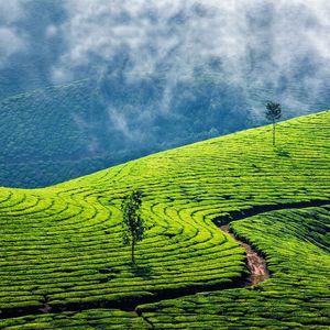 (© f9photos/Fotolia.com)