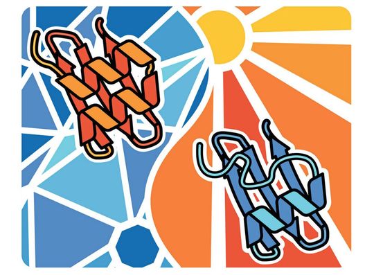 Proteine, die ihre räumliche Struktur als Reaktion auf geringe Temperaturimpulse ändern, eignen sich hervorragend als molekulare Werkzeuge zur thermischen Steuerung von Zellen.(Bild:  Benedict Wolf)