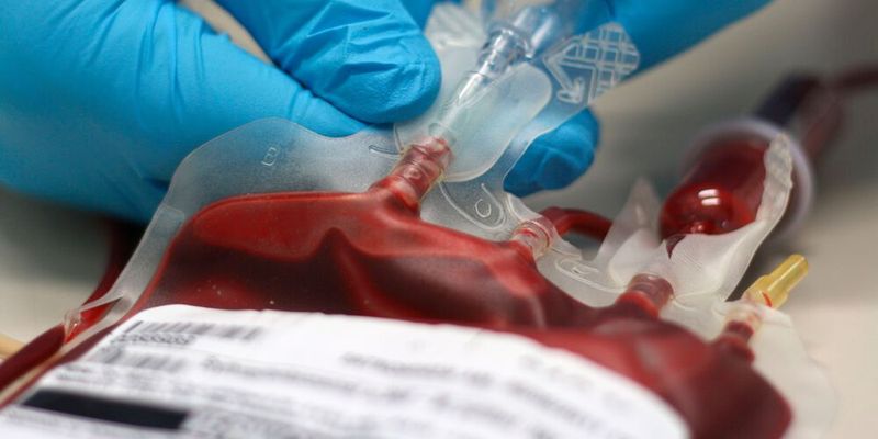 Indem sie genetische Anpassungen in Blutstammzellen hervorrufen, fördern häufige Blutspenden die Regeneration der Blutzellen.(Bild:  sebgross - stock.adobe.com)