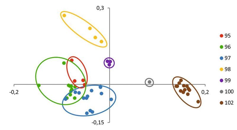 Abb. 4: Ergebnisse der PCA unter Verwendung der 1H-NMR-Spektren von 53 verschiedenen Kraftstoffproben mit ROZ 95 (rot), 96 (grün), 97 (blau), 98 (orange), 99 (violett), 100 (grau) und 102 (braun). (HS Niederrhein)