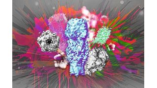 Künstlerische Darstellung der ersten Proteinstruktur des GABAA-Rezeptors, die mittels ONE-Mikroskopie gelöst wurde.  (Bild: Shaib/Rizzoli, umg/mbexc)