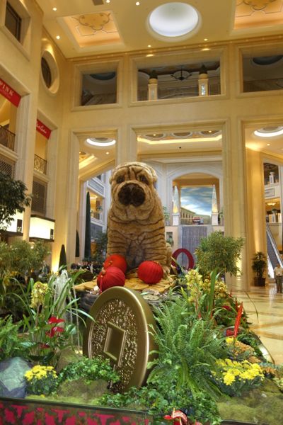 Dieses Jahr wird ein Hundejahr! (Bild: IT-BUSINESS)