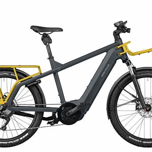 (pd-f.de / Riese & Müller)