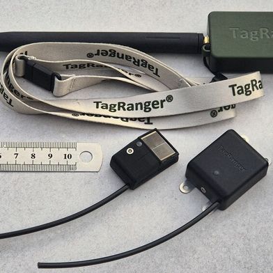 Improved tracking: The tags and the finder use a hybrid wireless architecture. The LoRaWAN protocol is used for longer distances, while the UWB unit is used only at close range for precise localization. (Image:AntennaWare)
