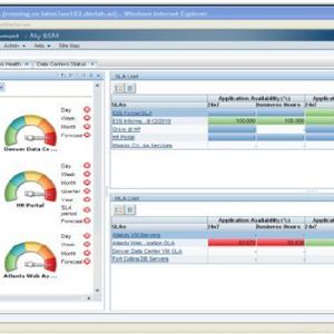 Durch das rollenbasierte Berechtigungsmodell von HP BSM 9 erhält jeder IT-Mitarbeiter eine Dashboard-Ansicht, die seinem Aufgabenbereich entspricht.