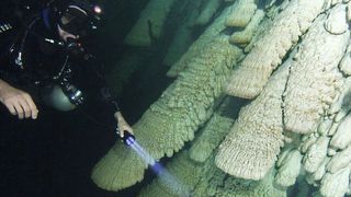Ein Taucher untersucht die Hells Bells-Formationen in der El Zapote-Höhle bei Puerto Morelos auf der Yukatan-Halbinsel.  (E.A.N./IPA/INAH/MUDE/UNAM/HEIDELBERG)