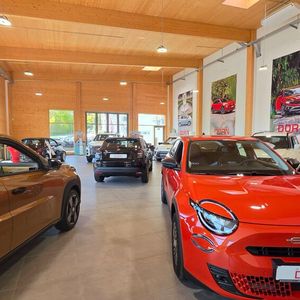 Fiat und Fiat Professional gehören seit mehr als zehn Jahren zum Marken-Sortiment.(Bild:  VCG - Mauritz)