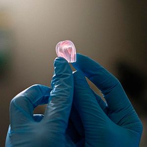 Das ist kein Gummibärchen sondern eins der an der EPFL per additiver Fertigung hergestelltes Objekt aus DNGE-Material. Es enthalt relativ steife Elastomerpartikel, eingebettet in eine weicher Matrix aus Elastomermaterial. Um durch mechanische Belastungen zu ermüden, braucht es dreimal so lange als andere Elastomere.(Bild:  Titouan Veuillet)