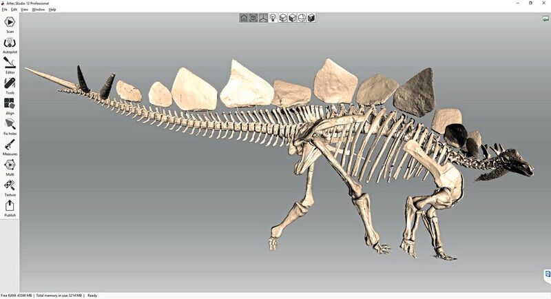 Detailgetreues 3D-Modell eines Stegosaurus.