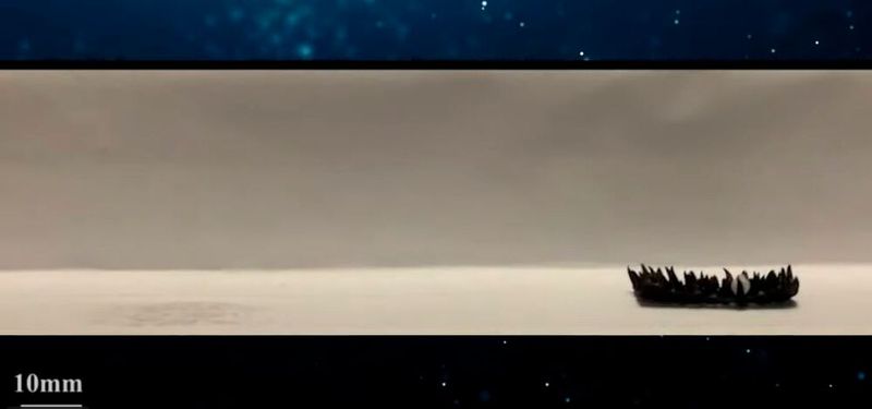 Mit seinen insektenähnlichen Klauen kann der Softroboter Greif- und Transportaufgaben ausführen. Das magnetische Hydrogel des Milliroboters ist mechanisch abstimmbar und biologisch abbaubar. Damit eignet er sich für Anwendungen in der Biomedizin.   (Bild:  American Chemical Society)