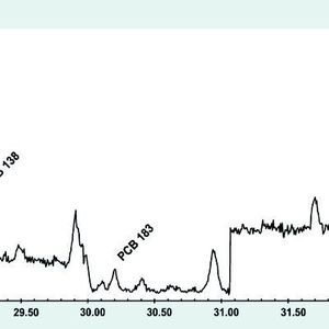 Abb. 2: Chromatogramm einer auf 6200 Meter entnommenen Schneeprobe. 