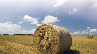 Biomasse und organische Abfallstoffe können Grundlage für Kraft- und Brennstoffe sein, die in ihrer Beschaffenheit konventionellem Erdöl gleichen.Bild: MME (Archiv: Vogel Business Media)