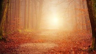 Gibt es den einen, den perfekten Weg zu einem effizienten Berechtigungsmanagement in SAP? (Bild: gemeinfrei)