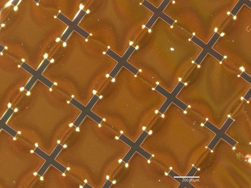Die Terahertz-Filter von Lepto bestehen aus einer dünnen Polymerfolie mit einer mikrostrukturierten Goldoberfläche, die auf einem 3D-gedruckten Rahmen befestigt ist.  (Bild: Empa)