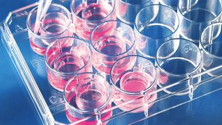 csm-image-insert-2in1-41c79dd6e2 (BRAND GMBH + CO KG)