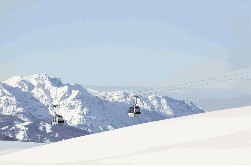 (Quelle:  Olha Sydorenko/shutterstock)