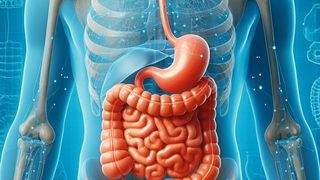 Würzburger Wissenschaftler haben kleine Moleküle entdeckt, die den Metabolismus von Bakterien regulieren. Diese Entdeckungen geben Aufschluss darüber, wie sich dieses Darmbakterium an wechselnde Ernährungsbedingungen anpasst. (Symbolbild) (Bild: frei lizenziert)