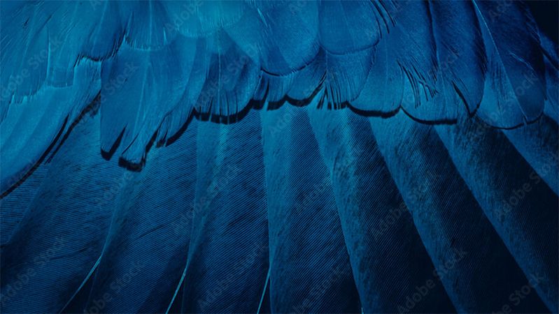 Der Blaue Engel für Rechenzentren hat seit dem 1. Januar neue Konditionen. Die zuständige wissenschaftliche Mitarbeiterin am Umweltbundesamt Marina Köhn erläutert warum und welche das sind. Der Blaue Engel für Rechenzentren hat seit dem 1. Januar neue Konditionen. Die zuständige wissenschaftliche Mitarbeiterin am Umweltbundesamt Marina Köhn erläutert warum und welche das sind.