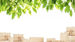 shutterstock-667834276 (Quelle: Sasin Paraksa/shutterstock)