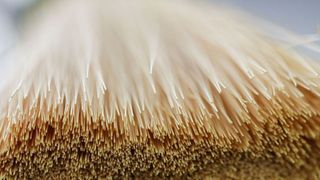 So stecken die PI-Memranen in den Separationsmodulen von Evonik. Das Spinnen der Fasern und deren letzlicher Durchmesser gelten als qualiätsbestimmende Eigenschaften. Die Kunststoffe können bei dieser Anwendung ihre Separationseigenschaften sehr gut entfalten. (Evonik)