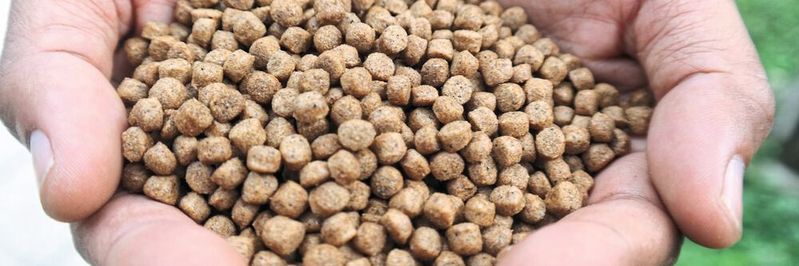Egal ob Fischfutter oder Holzpellets, die Anlagen von Amandus Kahl produzieren weltweit unterschiedlichste Produkte für viele Industriezweige. Bei der Fernwartung setzt das Unternehmen auf eine Lösung von Wachendorff. Egal ob Fischfutter oder Holzpellets, die Anlagen von Amandus Kahl produzieren weltweit unterschiedlichste Produkte für viele Industriezweige. Bei der Fernwartung setzt das Unternehmen auf eine Lösung von Wachendorff.