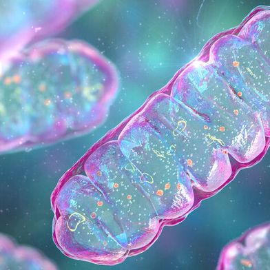 Bestimmten Mikroben genügen die Spuren an Wasserstoff in der Luft, um zu überleben (Symbolbild). (Bild: © Dr_Microbe - stock.adobe.com)