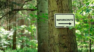 Foräschungsetat aufstocken: Auf KI basierende Projekte für mehr Nachhaltigkeit dürfen mit Fördermitteln des Bundes rechnen. (Bild: gemeinfrei)