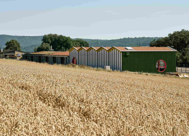 Die Außenseite der Turnhallen-Fassade wurde mit Hohlkammerscheiben in einer Pfosten-Riegel-Konstruktion installiert, um die Optik des bestehenden Gebäudes mit Holzelementen zu bewahren.   (Bild: Jason Klimatsas)