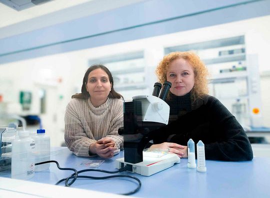 Dalial Freitak (rechts) und Danae Nyckees untersuchen, wie sich Umweltbelastungen auf Ameisen auswirken.(Bild:  Uni Graz/Tzivanopoulos)