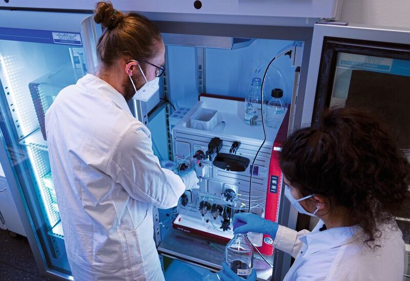 Jun.-Prof. Dr. Neva Caliskan und Matthias Zimmer analysieren die virale Proteinsynthese mithilfe von Fluoreszenzreportern in menschlichen Zellen. (HIRI / Britta Grigull)