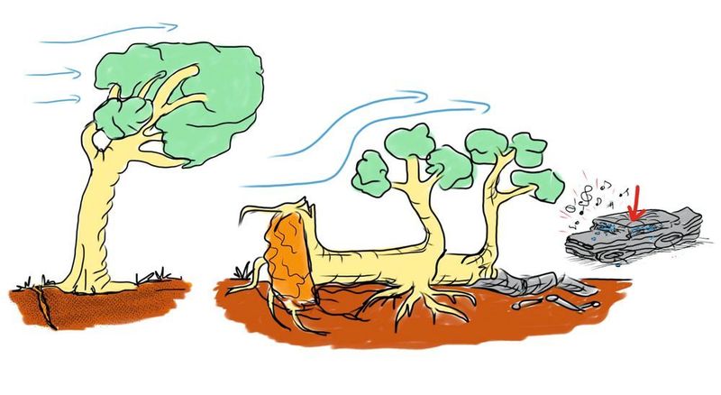 Windhebelreduktion und Vergrößerung der Wurzelstützfläche durch Windwurf und Anpassung eines Automobiles an Druckbelastung durch Querschnittsverbreiterung und Reduzierung der Knicklängen. (C. Mattheck)