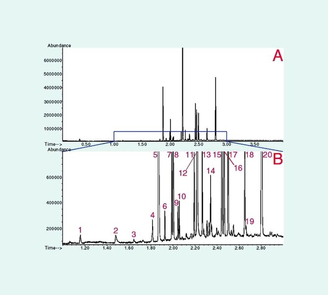 Abb. 2a Total-Ionen-Chromatogramm (A) und eine Detailbetrachtung (B) zwischen der ersten und dritten Minute der Aufzeichnung der HS-SPME-GC/MSD-Analyse von zehn Gramm Apfelkompott (Peakzuordnung siehe Tabelle 1). (Archiv: Vogel Business Media)