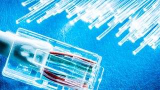 0112816545 (Source: volff - stock.adobe.com)