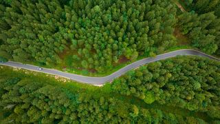 Renewable diesel is a low-carbon fuel made from renewable sources and is chemically identical to regular petroleum diesel.  (Source: Sepia100 - stock.adobe.com)