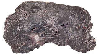 Detailaufnahme eines geschnittenen Kieselholzes vom Kyffhäuser mit einem horizontalen Durchmesser von ca. 20 Zentimetern. Die weiß-grauen Flecken sind verschiedene helle und dunkle Quarzgenerationen. (Bild: © Steffen Trümper)