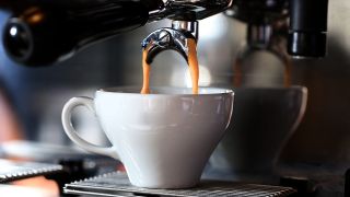 Kaffee kann auch in der Elektronenmikroskopie gute Dienste leisten.  (Bild: )